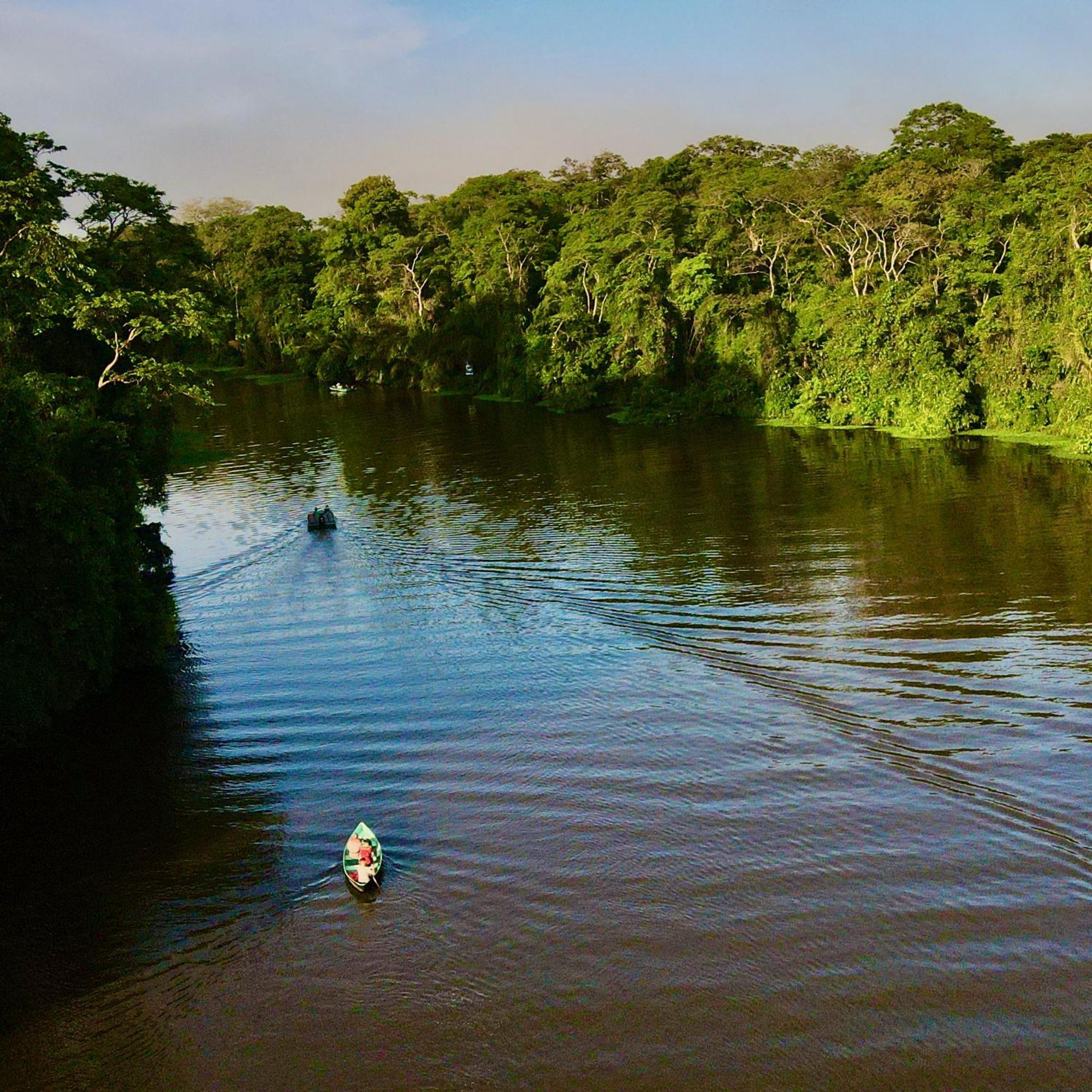 The Corner House Lägenhet Tortuguero Exteriör bild